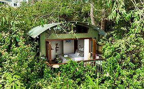 The Beach Treehouse