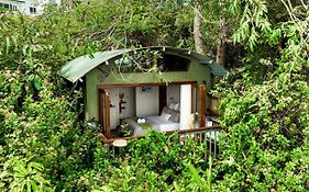 The Treehouse Beach Cabin